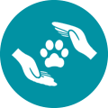 Lynbrook Vet: Veterinary Clinic and Consultation in Lynbrook, VIC