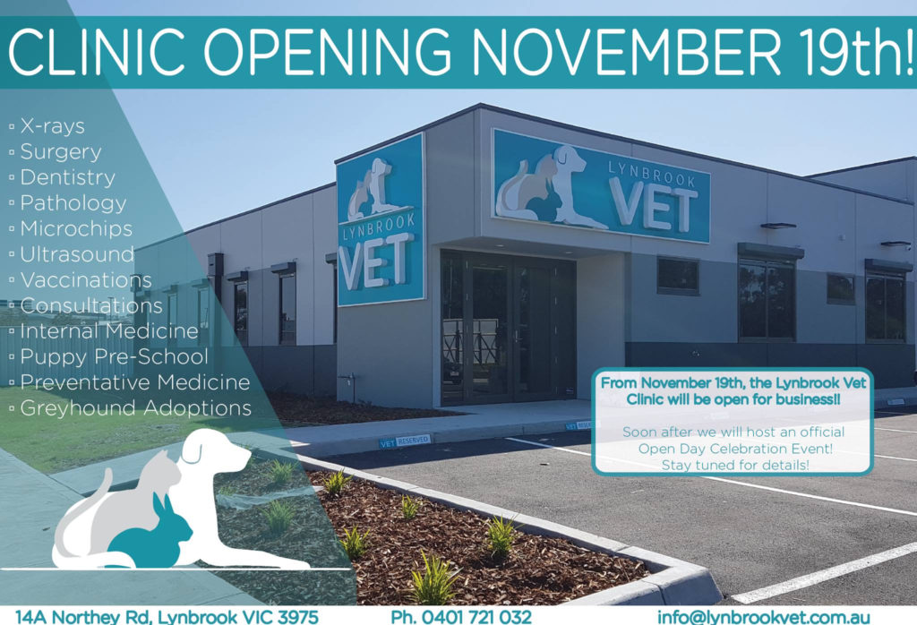 Lynbrook Vet business opening 19th November Lynbrook Vet