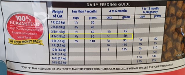 feeding guide for kitten between 4 to 6 months