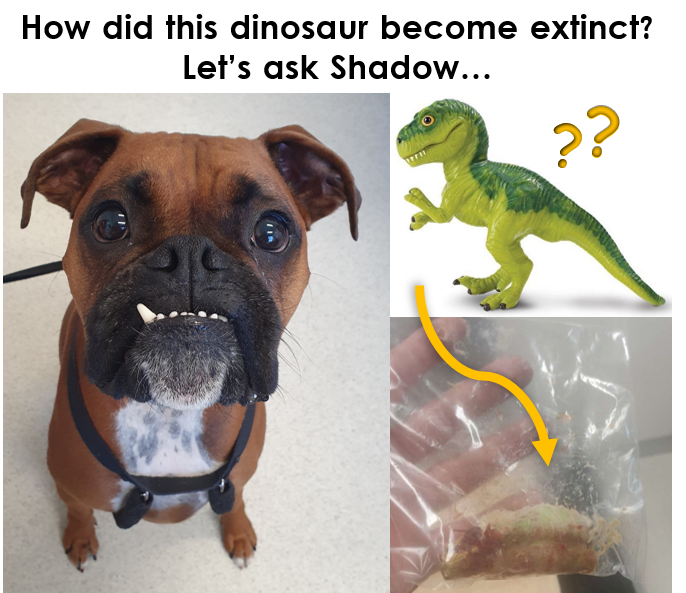 did dogs come from dinosaurs