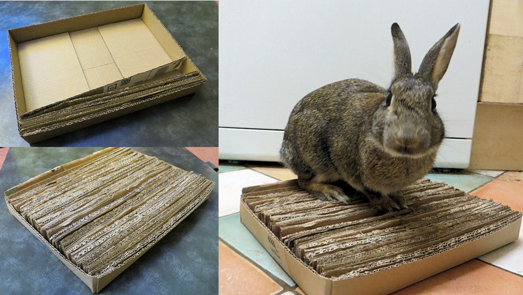 A rabbit on a DIY rabbit enrichment mat