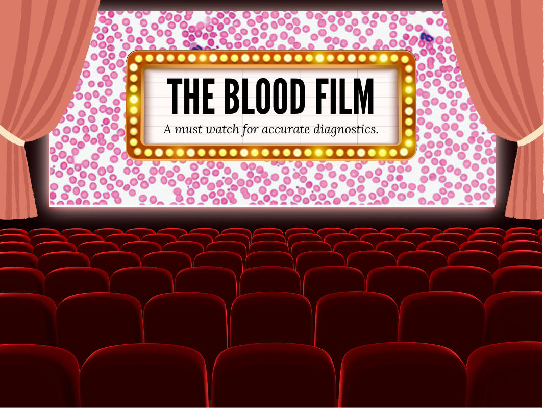 The Blood Film