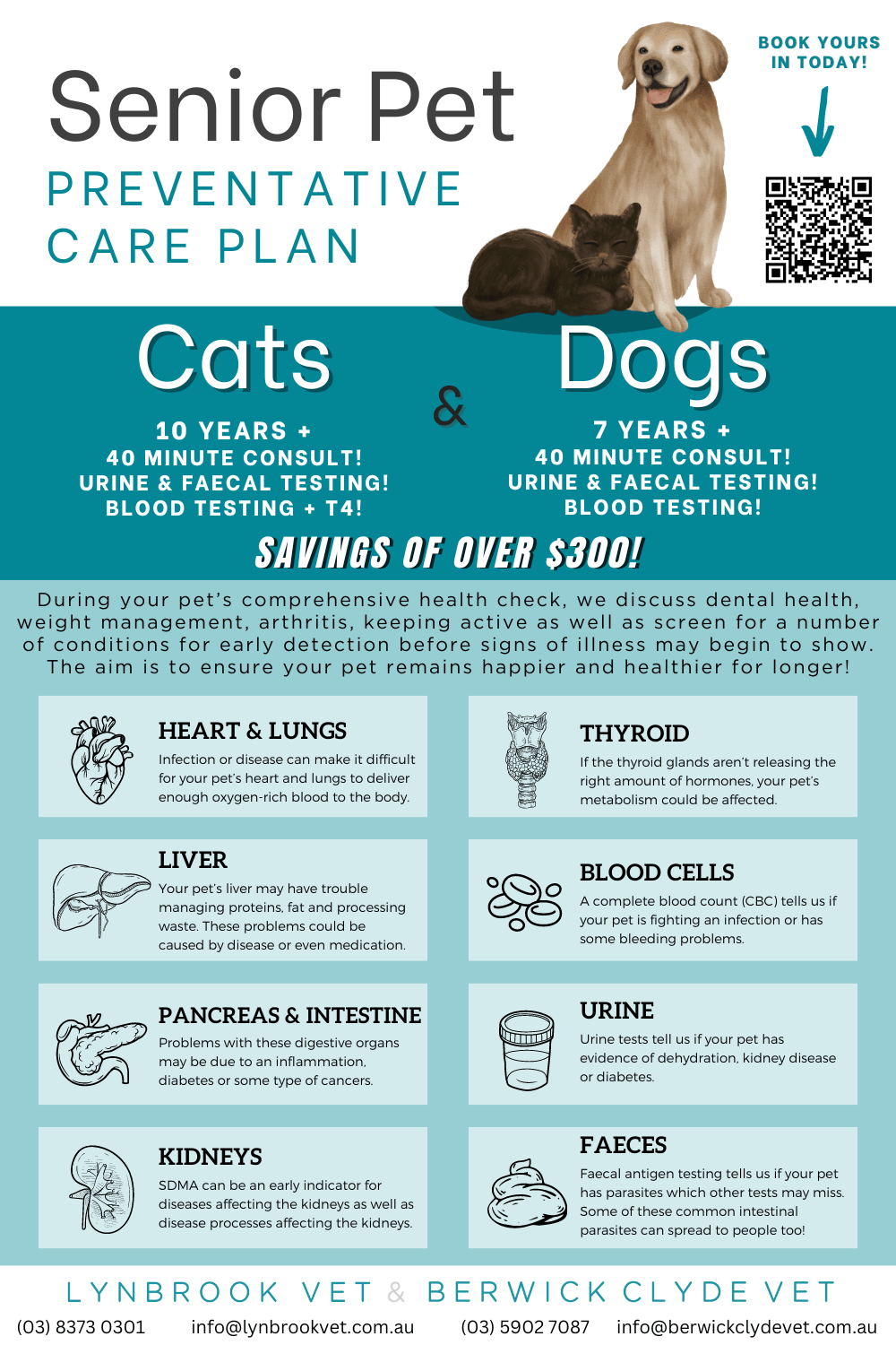 senior-pets-lynbrook-vet