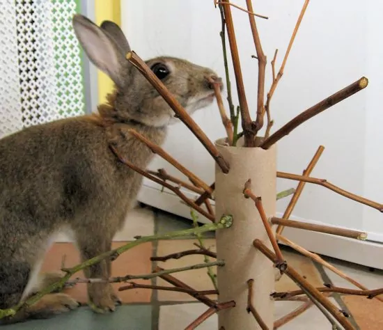 a stick monster built for rabbit enrichment